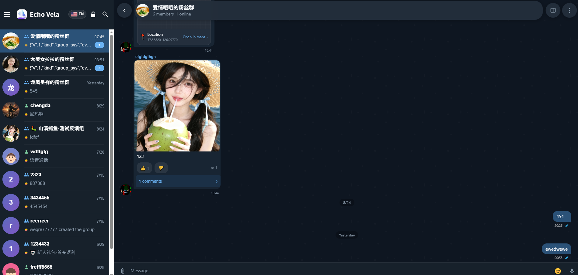 Echo Vela IM PC 截图